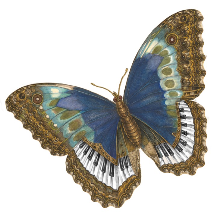 Delft Chamber Music Festival